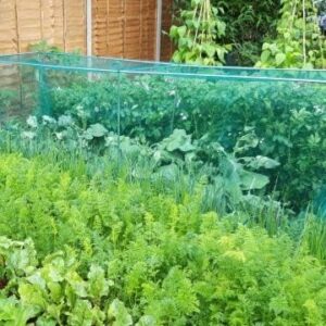 Gardening Naturally Soft Green Anti Butterfly Netting for Garden Fruit Crop Protection (2m x 5m) - Image 5