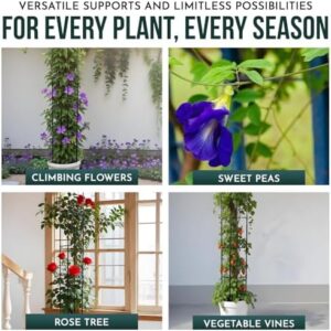SA Products Garden Plant Supports - Metal Obelisk Cage for Outdoor Climbing Flowers, Rose Tree, Sweet Pea, Tomato, Fruit & Vegetable Vines - Frame Stand for Gardens, Greenhouse, Yard - 143cm, Set of 2 - Image 4
