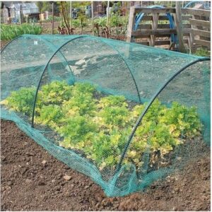 Gardening Naturally Soft Green Anti Butterfly Netting for Garden Fruit Crop Protection (2m x 5m) - Image 3